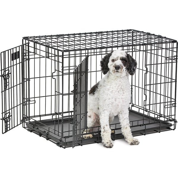 MIDWEST LifeStages Double Door Collapsible Wire Dog Crate, 30 inch