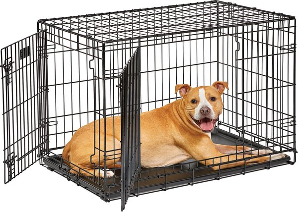MidWest LifeStages Double Door Collapsible Wire Dog Crate, 36 inch slide 1 of 11