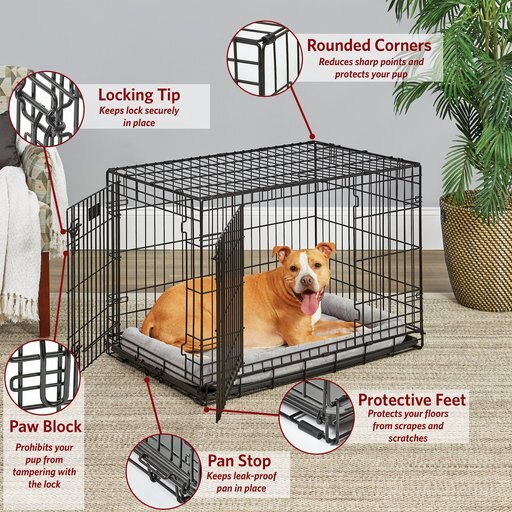 MidWest LifeStages Double Door Collapsible Wire Dog Crate, 36 inch