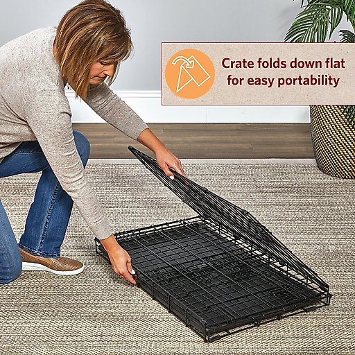 MidWest LifeStages Double Door Collapsible Wire Dog Crate, 36 inch