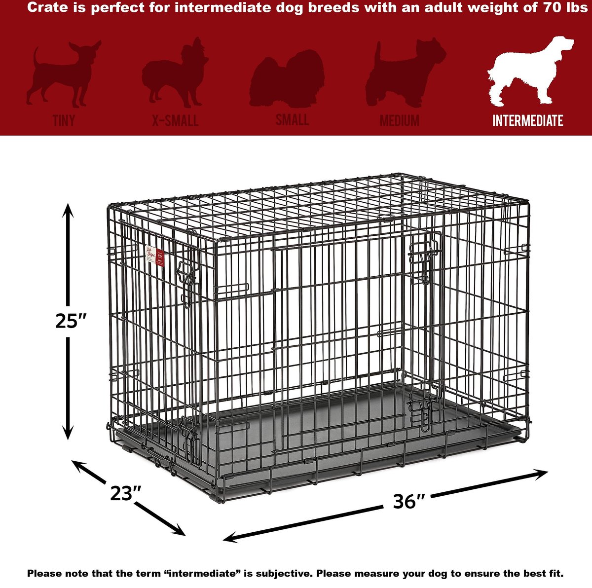 What size dog fits in outlet a 36 inch crate