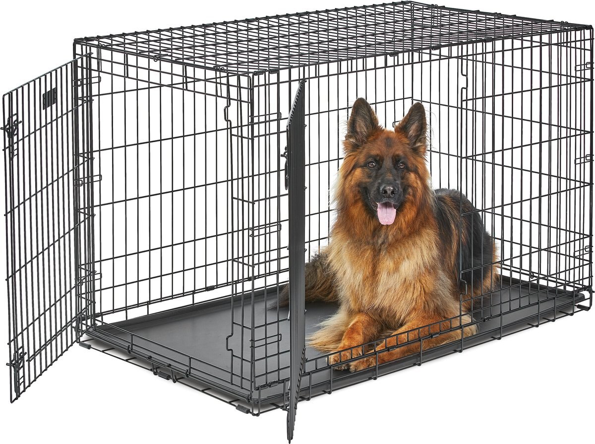 MIDWEST LifeStages Double Door Collapsible Wire Dog Crate, 48 inch