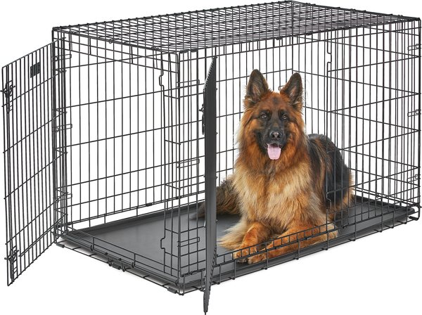 MidWest LifeStages Double Door Collapsible Wire Dog Crate, 48 inch slide 1 of 11