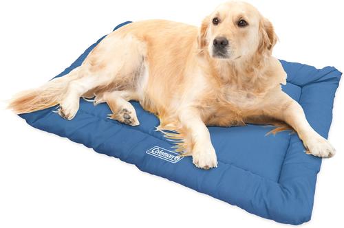 Show full view: Coleman Roll-Up Travel Dog Bed, Blue slide 3 of 6