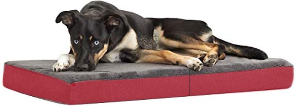 Coleman Carry Handle Folding Dog Bed, Large slide 1 of 2
