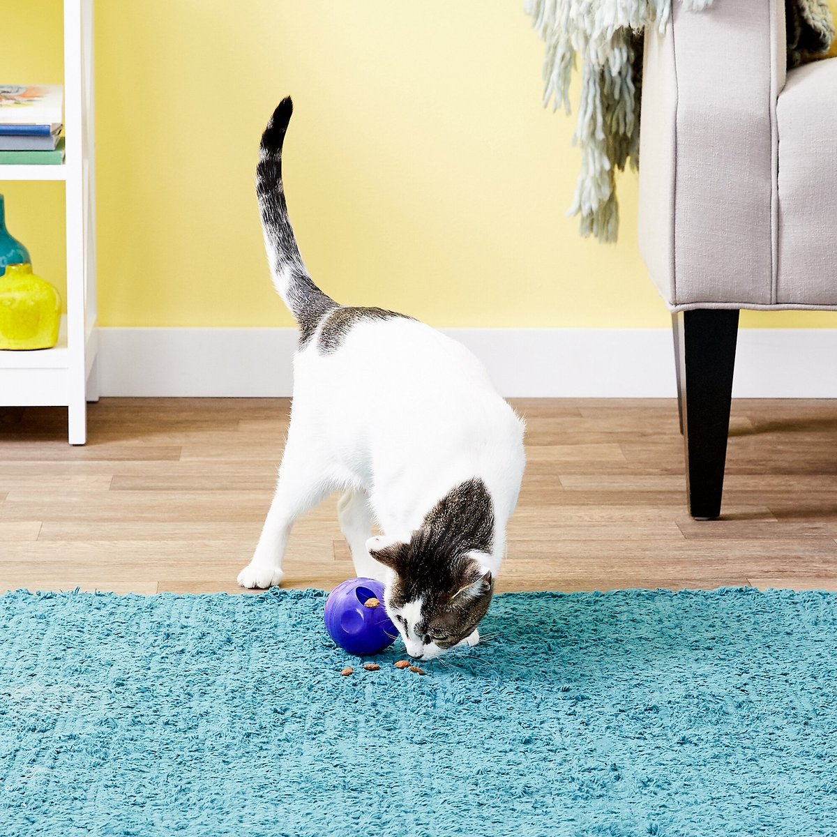 Treat ball clearance for cats