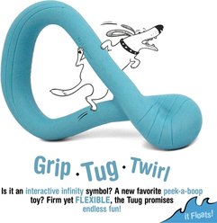 Nylabone Creative Play Tuug Interactive Tug Exercise Dog Toy, Blue slide 2 of 9