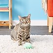 kong moppy ball cat toy
