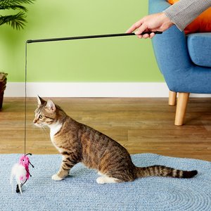 KONG Active Feather Teaser Cat Toy, Color Varies