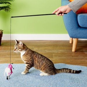 10 Best Cat Wand Toys 2024: According to Reviews | Chewy