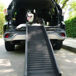 Coziwow Portable Lightweight with Non-Slip Surface Dog & Cat Ramp, Black