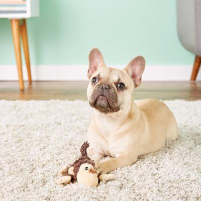 Show full view: KONG Cozie Spunky the Monkey Dog Toy, Small slide 4 of 9