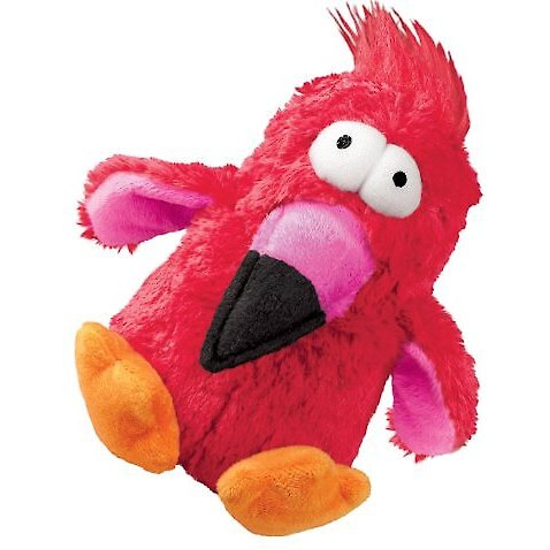 Bird shop dog toy