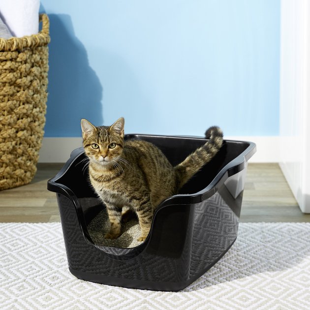 Natures Miracle High-Sided Litter Box 2-Pack 