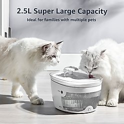 Petdiary Wireless Auto-Sensing Dog & Cat Water Fountain, Large slide 2 of 9