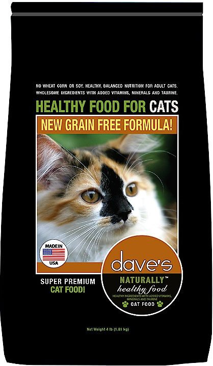 natural healthy cat food