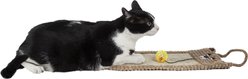 Pet Life Eco-Natural Sisal & Jute Hanging Carpet Kitty Cat Scratcher Lounge & Toy, Brown slide 2 of 3