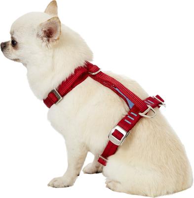 Show full view: Kurgo Tru-Fit Enhanced Strength Crash Tested Smart Car Dog Harness, X-Small: 12 to 18-in chest slide 4 of 13