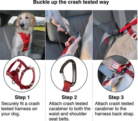 Show full view: Kurgo Tru-Fit Enhanced Strength Crash Tested Smart Car Dog Harness, X-Small: 12 to 18-in chest slide 6 of 13