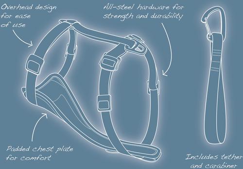 Show full view: Kurgo Tru-Fit Enhanced Strength Crash Tested Smart Car Dog Harness, X-Small: 12 to 18-in chest slide 9 of 13