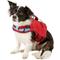 Show in main carousel: Kurgo Surf-n-Turf Dog Life Jacket, Small slide 3 of 13