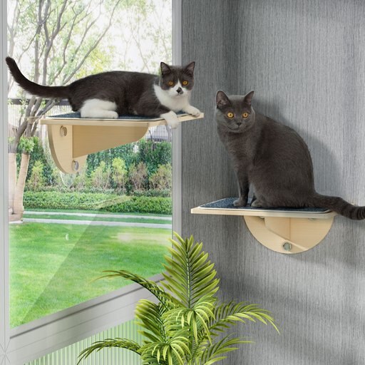 Coziwow Cat Window Perch with Suction Cups, Natural Wood