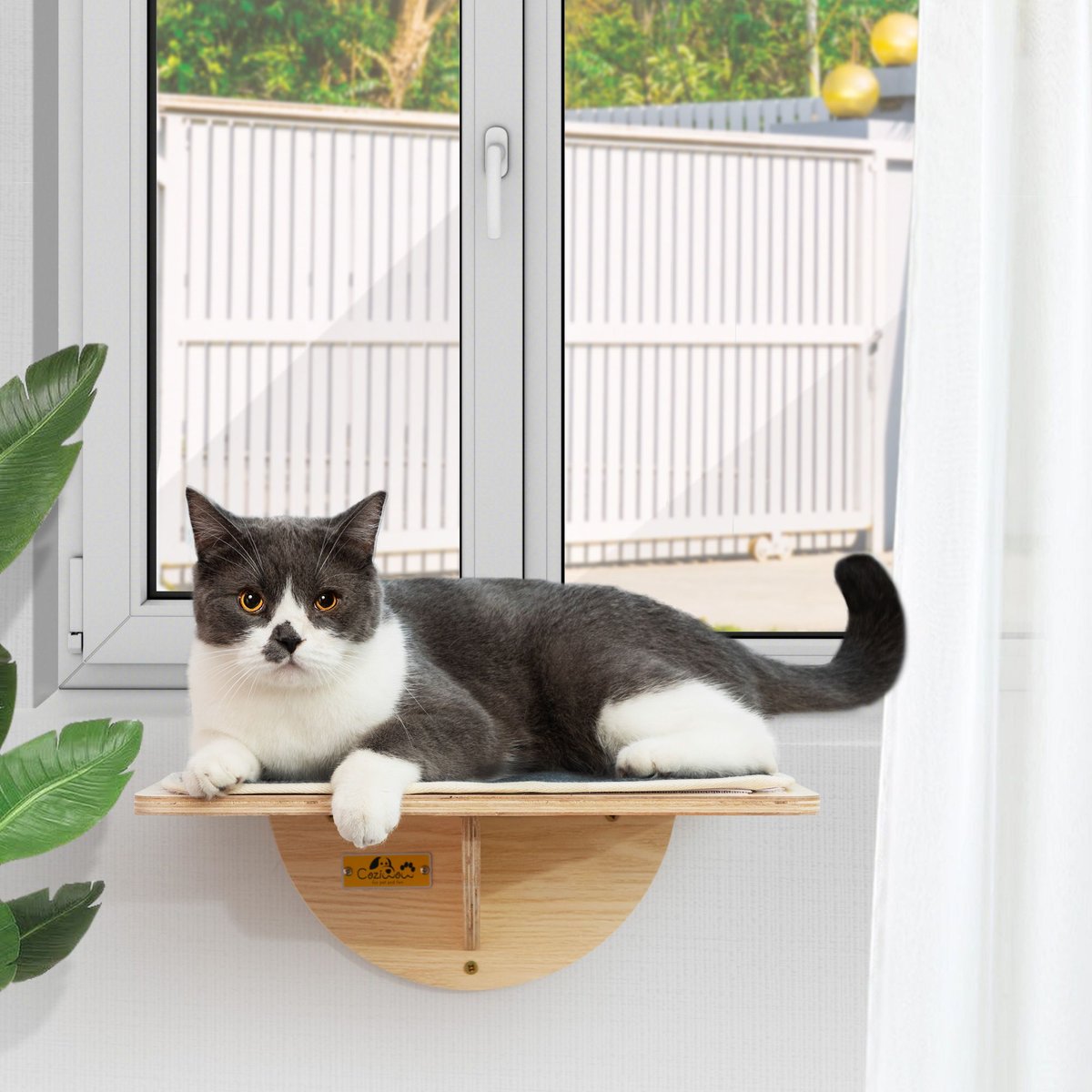 Coziwow Cat Window Perch with Suction Cups, Natural Wood