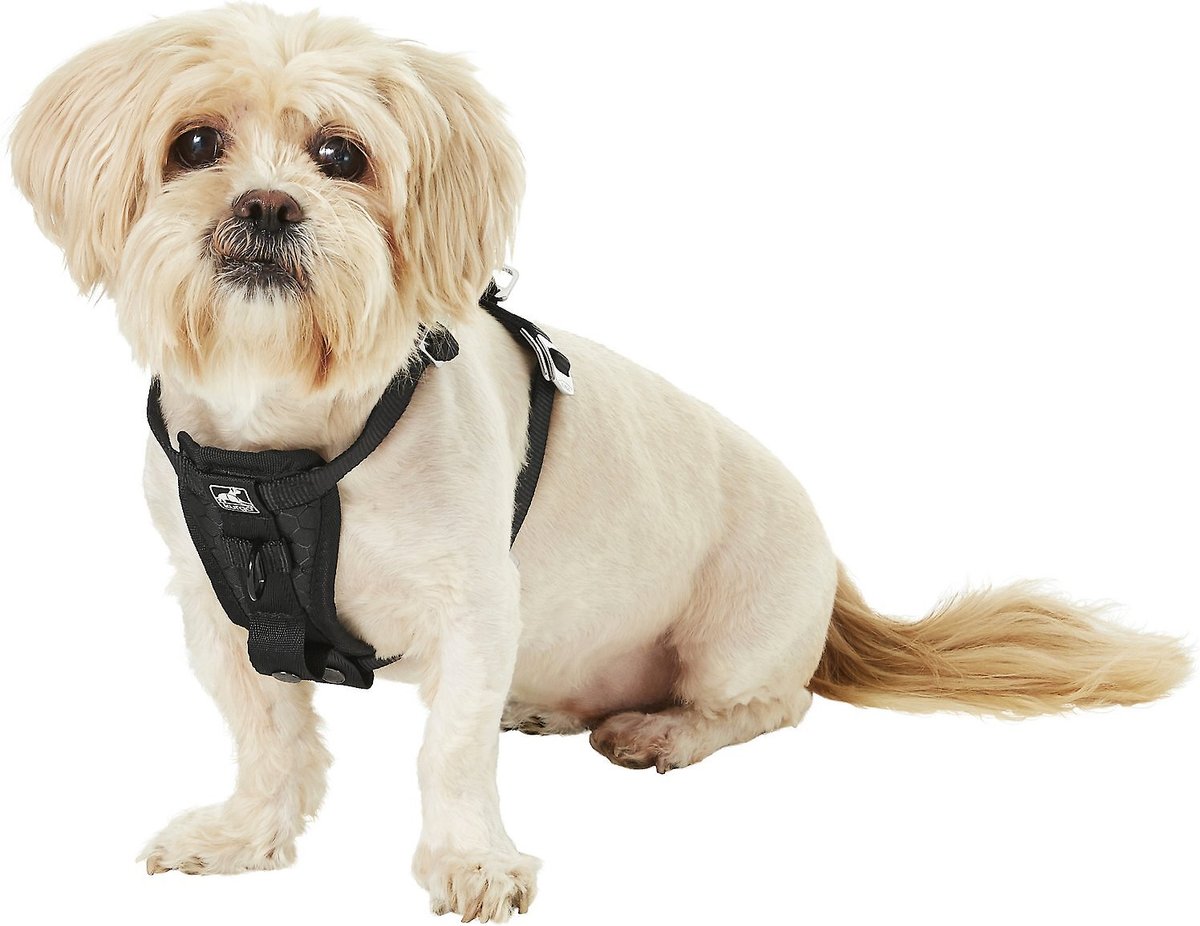 KURGO Tru-Fit Enhanced Strength Crash Tested Smart Car Dog Harness, Black,  Small 