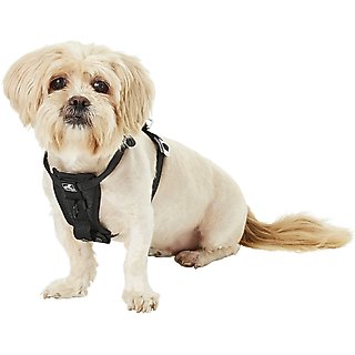 Kurgo Tru-Fit Enhanced Strength Crash Tested Smart Car Dog Harness, Black, Small slide 4 of 9