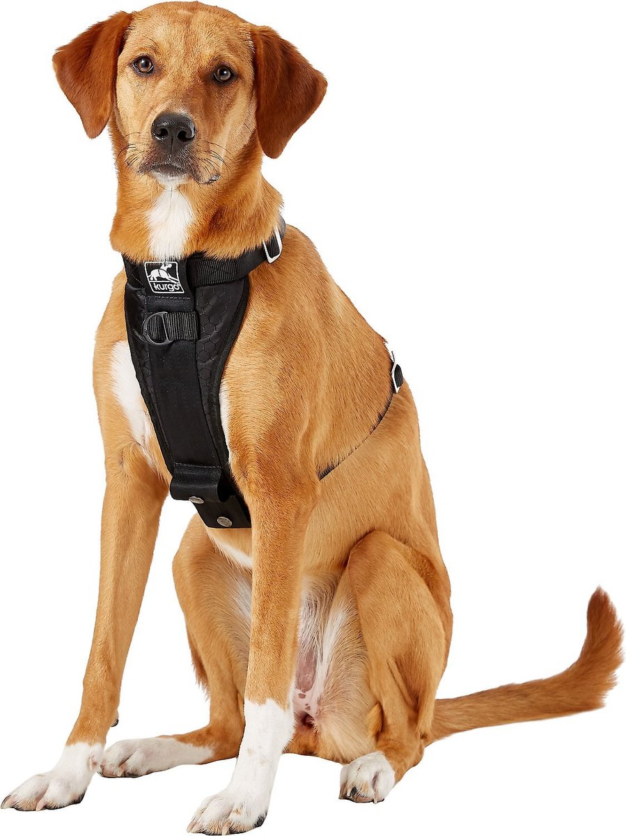 Kurgo KU00023 Tru-fit Dog Harness, Small, Dogs weighing 10 to 25-Pound,  Black 