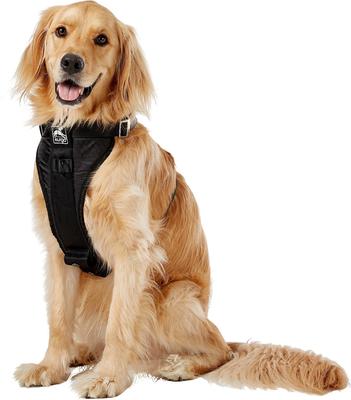 Show full view: Kurgo Tru-Fit Enhanced Strength Crash Tested Smart Car Dog Harness, Black, X-Large slide 4 of 13