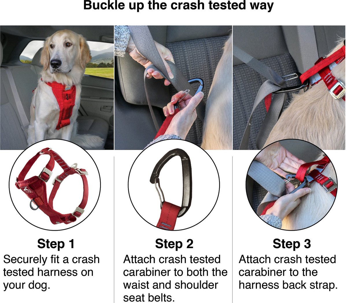 Large dog harness outlet for car