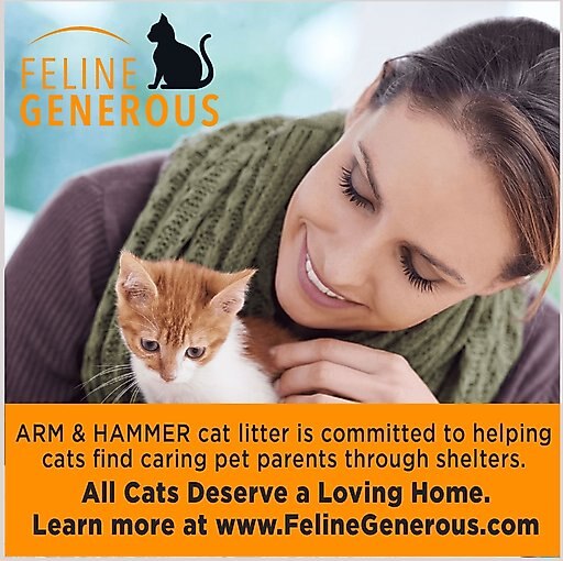 Arm & Hammer Litter Double Duty Scented Clumping Clay Cat Litter, 40-lb box