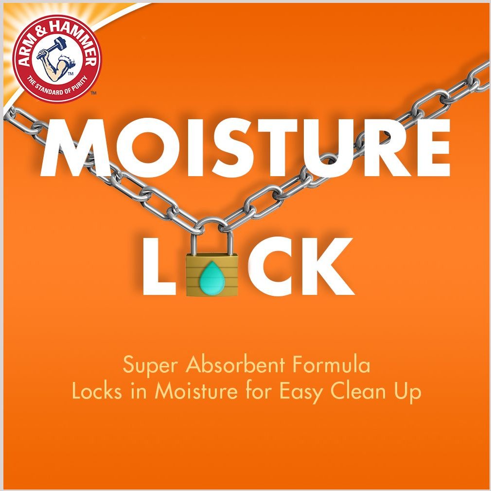 ARM & HAMMER LITTER Ultra Last Long Lasting Odor Control Clumping Clay Cat Litter