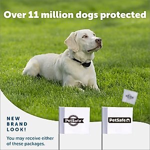 PetSafe Boundary Flags, 50 count