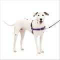 PetSafe Easy Walk Dog Harness, Purple/Black, Medium/Large