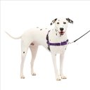 PetSafe Easy Walk Dog Harness, Purple/Black, Medium/Large