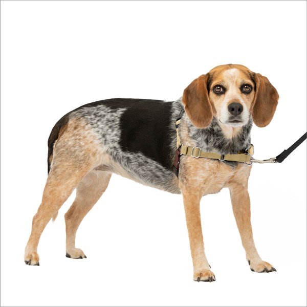PetSafe Easy Walk Dog Harness, Fawn/Brown, Small/Medium slide 1 of 11