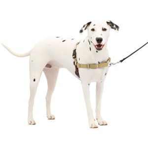 PetSafe Easy Walk Dog Harness, Fawn/Brown, Medium/Large