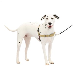 PetSafe Easy Walk Dog Harness, Fawn/Brown, Medium/Large