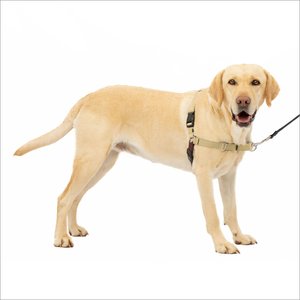 PetSafe Easy Walk Dog Harness, Fawn/Brown, Large