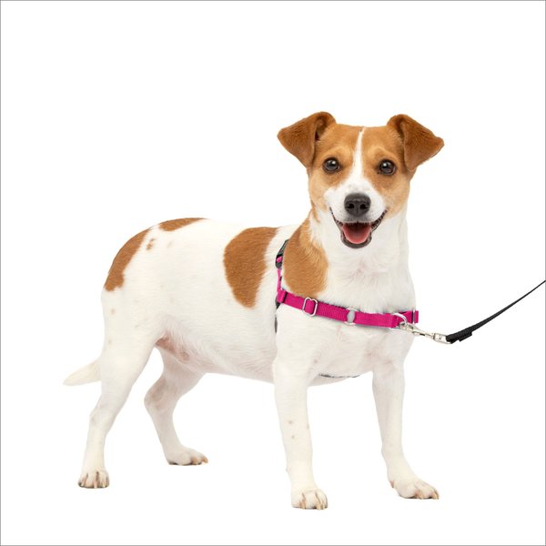 PetSafe Easy Walk Dog Harness, Raspberry/Gray, Small slide 1 of 11