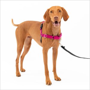 PetSafe Easy Walk Dog Harness, Raspberry/Gray, Medium