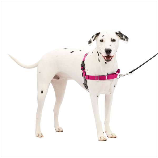 PetSafe Easy Walk Dog Harness, Raspberry/Gray, Medium/Large slide 1 of 11