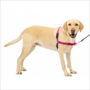 PetSafe Easy Walk Dog Harness, Raspberry/Gray, Large