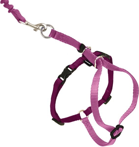 PetSafe Come With Me Kitty Nylon Cat Harness & Bungee Leash, Dusty Rose/Burgundy, Small: 9 to 11-in chest slide 1 of 8