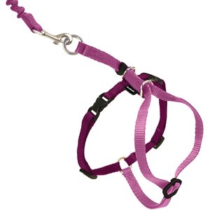 PetSafe Come With Me Kitty Nylon Cat Harness & Bungee Leash, Dusty Rose/Burgundy, Small: 9 to 11-in chest
