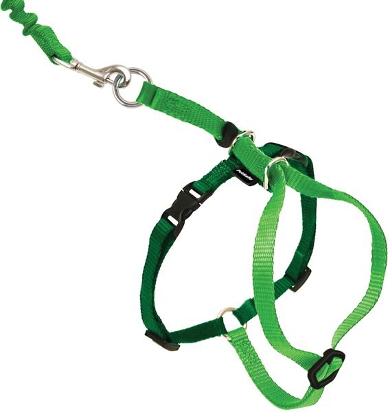 PetSafe Come With Me Kitty Nylon Cat Harness & Bungee Leash, Electric Lime/Green, Medium: 10.5 to 14-in chest slide 1 of 8