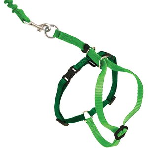 PetSafe Come With Me Kitty Nylon Cat Harness & Bungee Leash, Electric Lime/Green, Medium: 10.5 to 14-in chest