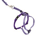 PetSafe Come with Me Kitty Nylon Cat Harness & Bungee Leash, Lilac/Deep Purple, Medium: 10.5 to 14-in chest
